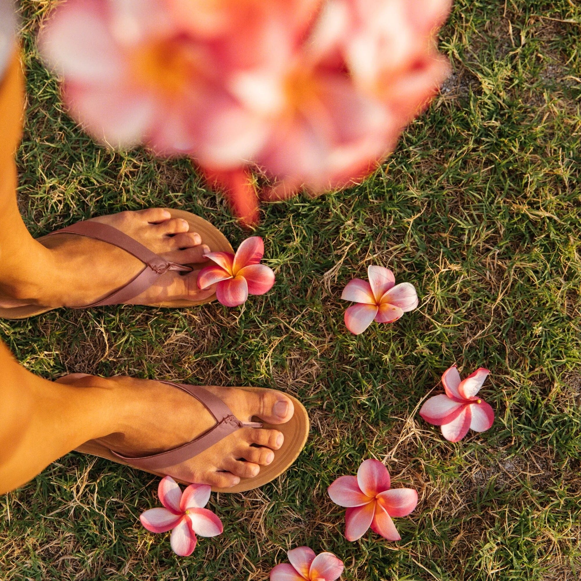 OluKai Women's Nonohe Sandals- Sahara/Golden Sand - Image 6
